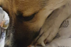 20190728_084413