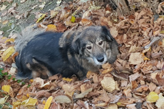 20181117_075348