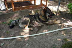 20190726_132800