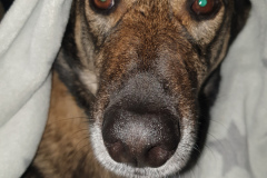 20191230_173107