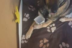 FB_IMG_1566757983957