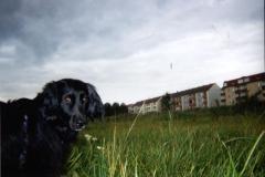 Recovered_JPEG_770