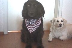 Recovered_JPEG_776